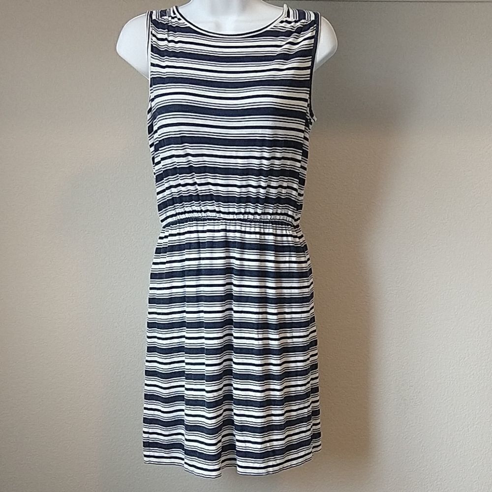 Loft Blue/White Striped Dress